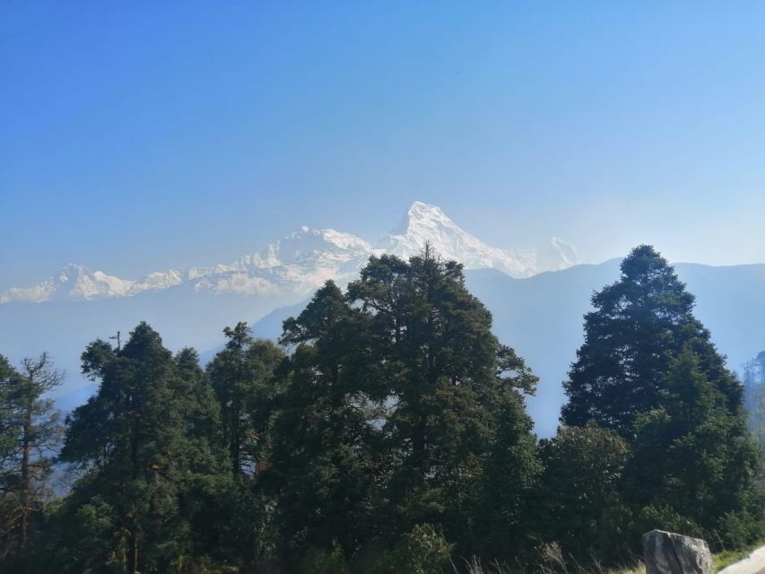 From Pokhara: Budget 2 Night 3 days Poon hill trek - Day 3: Ghorepani to Ulleri downhill, then back to Pokhara