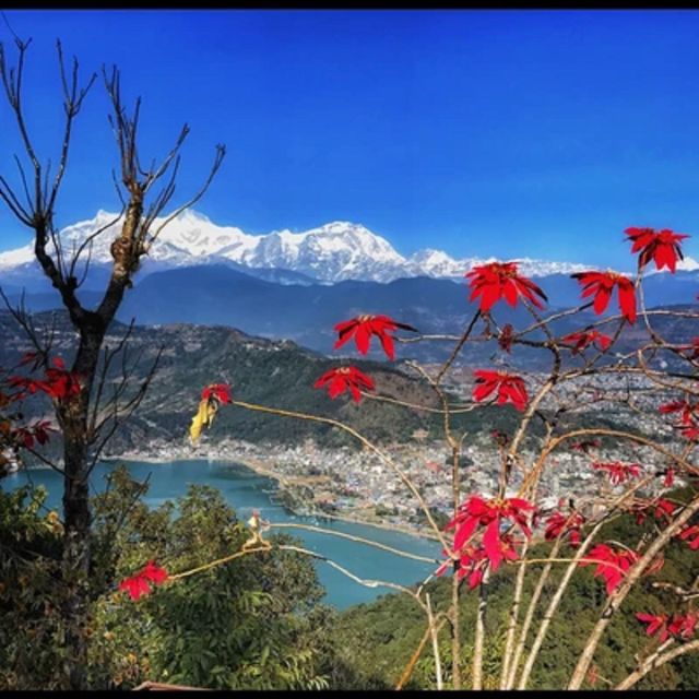 From Pokhara: Guided Tour to Visit 4 Himalayas View Point - Key highlights worth your morning