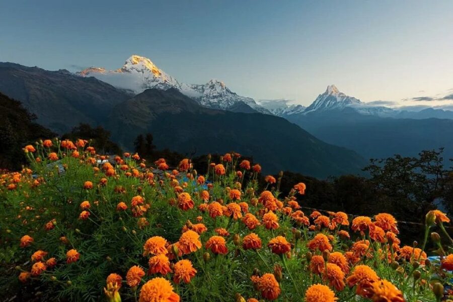 From Pokhara: Guided Tour to Visit 4 Himalayas View Point - Booking with Snow Peak Tours and Travels: what to expect from the operator style