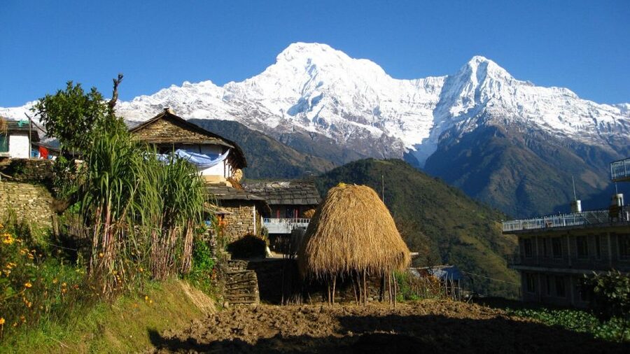 From Pokhara: Guided Tour to Visit 4 Himalayas View Point - Price and value: what $93 buys you in Pokhara