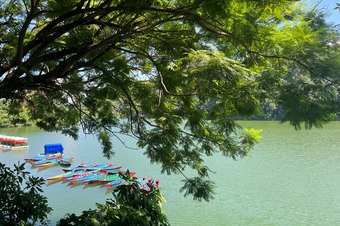 From Pokhara : Hiking to Peace Pagoda via Fewa Lake & Jungle - Jungle trek toward Anadu Hill: the best part for many people
