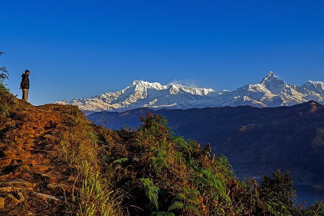 Full Day Car Drive to Explore Places of Interest of Pokhara - Key Highlights You’ll Appreciate
