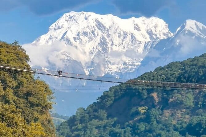 Full day Suspension Bridge, Boating, George, Sightseeing Tour - Key highlights worth your attention