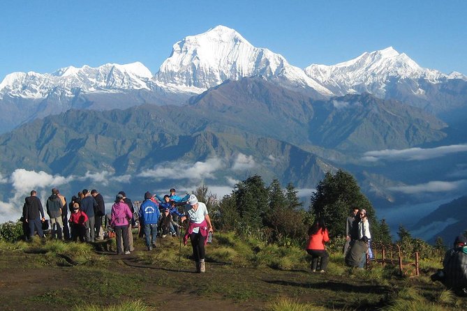 Ghorepani - Poon Hill Trek 3N-4D - Tikhedhunga and Ulleri: The Steps That Set the Tone