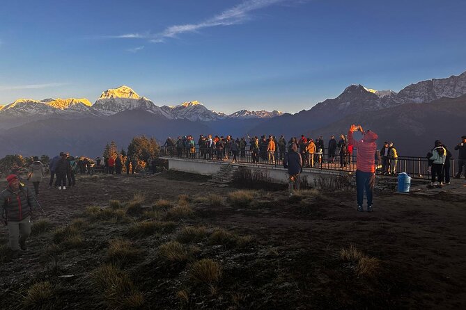 Ghorepani Poonhill Private Trek - 2 nights / 3 days - Key Highlights You’ll Care About