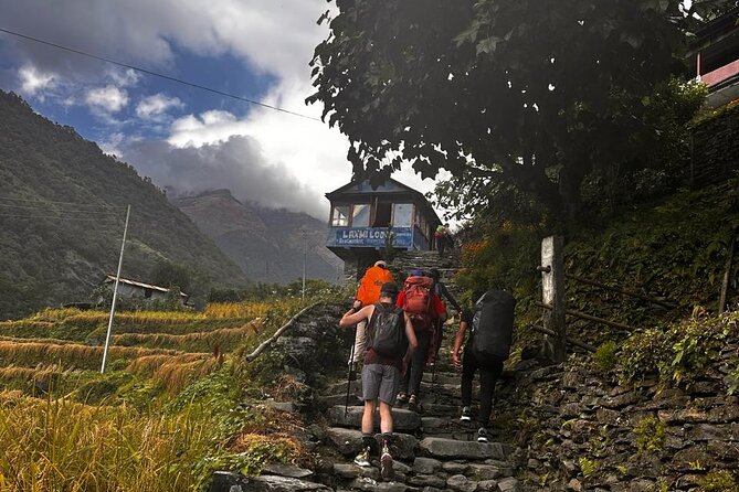 Ghorepani Poonhill Private Trek - 2 nights / 3 days - What the Private Tour Setup Changes for You