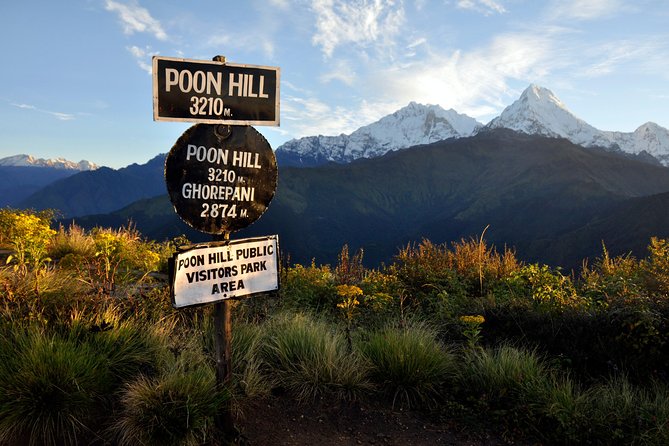 Ghorepani Poonhill Trek 5 Days from Pokhara - Price and value: what $450 covers (and what it doesn’t)