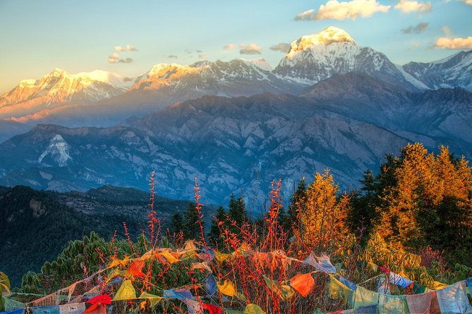 Ghorepani Poonhill Trek 5 Days from Pokhara - Guides, permits, and porters: the stuff that makes or breaks the trip