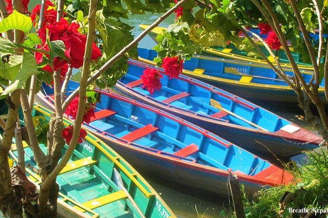 Half-Day Private Pokhara Tour - Should You Book This Half-Day Private Pokhara Tour?