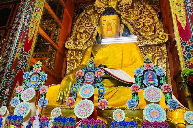 Half Day Tibetan Cultural tour Pokhara - Meet a Tibetan doctor and experience pulse reading