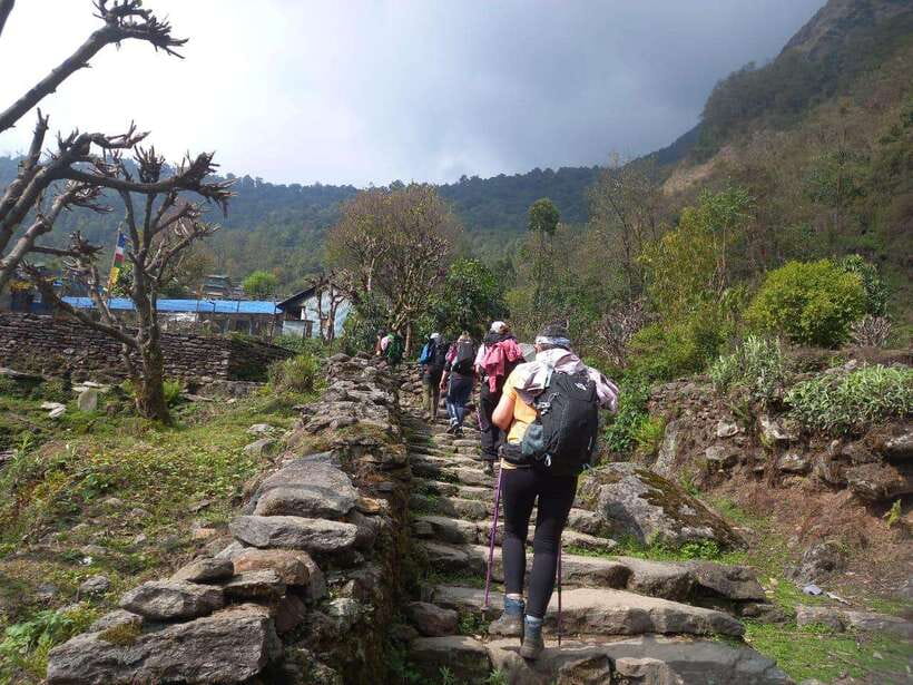 Kathmandu/Pokhara: 5-Day Annapurna Base Camp (ABC) Trek - Day 5: Jhinu Danda Hot Springs and the Return to Pokhara