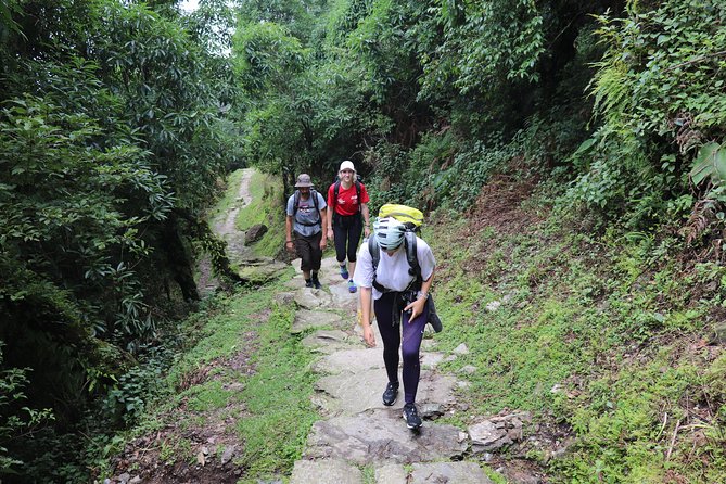Mardi Himal Base Camp Trek (5 Days) - Why Mardi Himal Base Camp Works in Only 5 Days