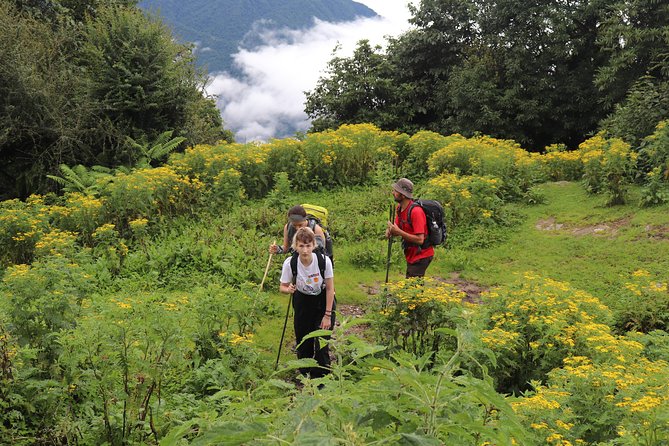 Mardi Himal Base Camp Trek (5 Days) - Day 1: Pokhara Lakeside to Forest Camp Without Rushing