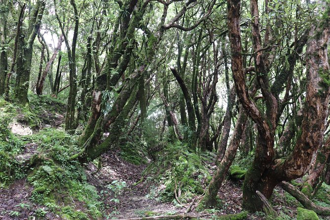 Mardi Himal Base Camp Trek (5 Days) - Private Trek Feel, with Guides Like Madhav or Madu