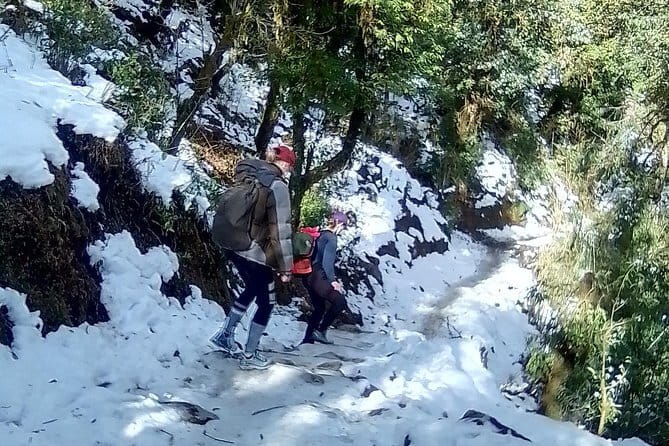 Mardi Himal Trek - Day 4: Landruk Descent and Slower Village Life With Annapurna South