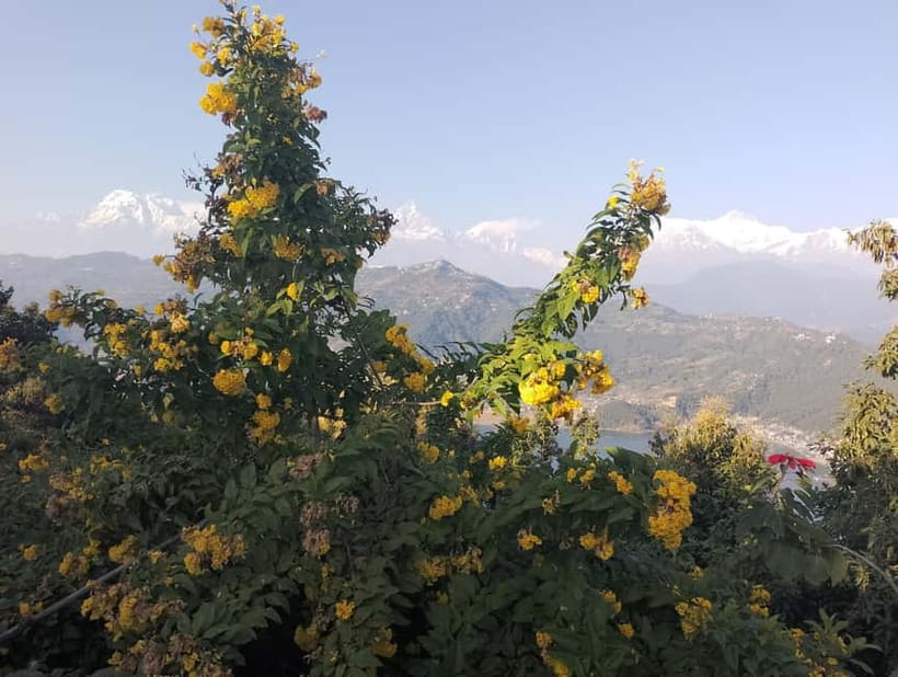 Peace & Panorama: Stupa and Pumdikot Scenic Drive Tour - Timing and comfort: how to make the most of the 4-hour plan