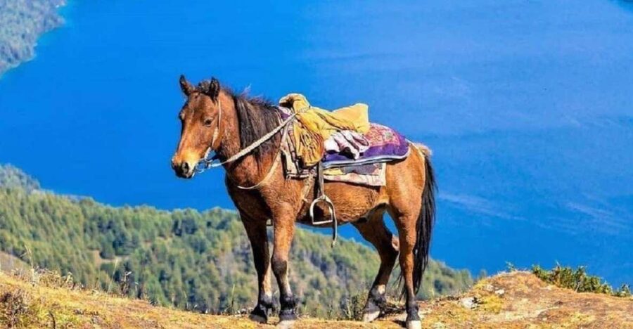Pokhara: 1-Hour Horseback Ride with Hotel Pickup - Key highlights worth knowing