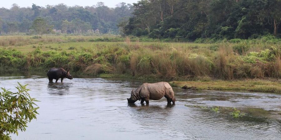 Pokhara: 1 Night 2 Day Chitwan Safari Tour - Chitwan, timed right: pickup and the road plan from Pokhara