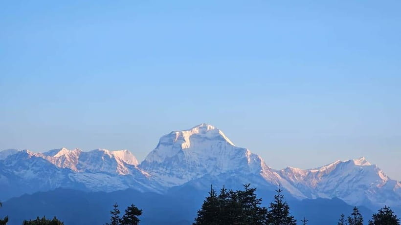 Pokhara: 2 & 3 Days Ghorepani Poon Hill Private Guided Trek - Ulleri to Ghorepani: Rhododendron and Oak Hills to Your 2,860m Base