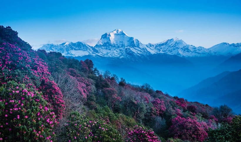 Pokhara: 2 & 3 Days Ghorepani Poon Hill Private Guided Trek - Who Should Choose This Trek (and Who Should Skip)