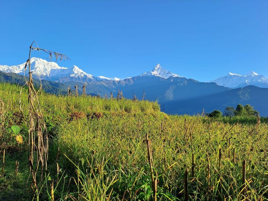 Pokhara: 2-Day Australian Camp & Dhampus Village Easy Hike - Why This 2-Day Dhampus and Australian Camp Hike Works