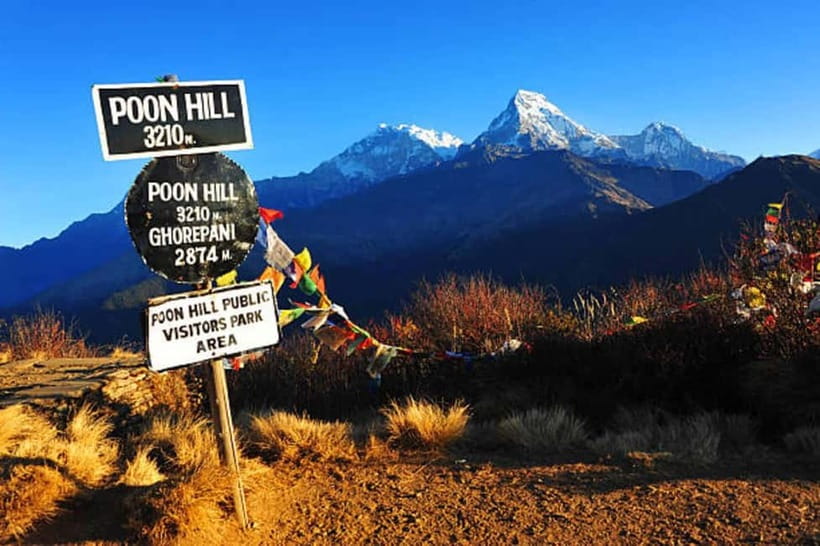 Pokhara: 2-Day Ghorephani and Poon Hill Private Trek - After the view: the downhill that feels longer than it looks
