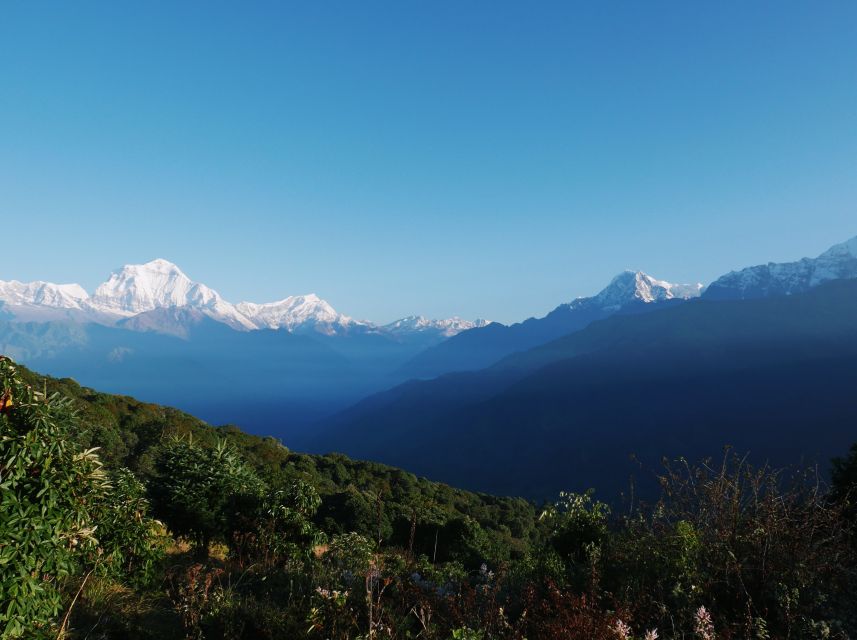 Pokhara: 3-Day Ghorepani and Poon Hill Trek - Guides and Support: The Part That Changes Everything