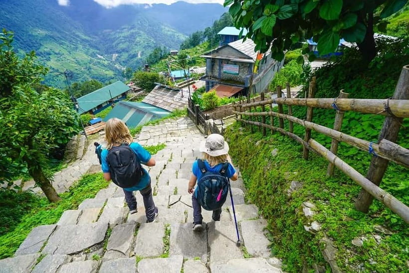 Pokhara: 3-Day Ghorepani, Poon Hill & Ghandruk Guided Trek - Day 2: the Poon Hill sunrise run, then onward to Tadapani or Ghandruk