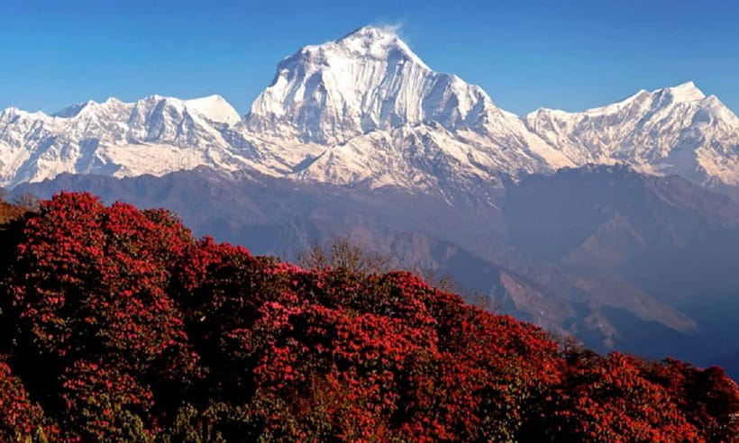 Pokhara: 3-Day Ghorephani and Poon Hill Private Trek - What to Pack for Cold Mornings and Steep Sections