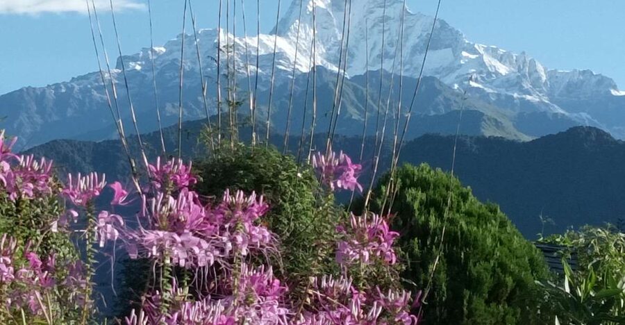 Pokhara: 3-Day Trek - Key Things I’d Remember About This Pokhara 3-Day Trek