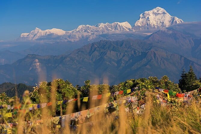 Pokhara 3 Days Ghorepani and Poon Hill Private Trek via Ghandruk - Why this 3-day Poon Hill and Ghandruk route is good value