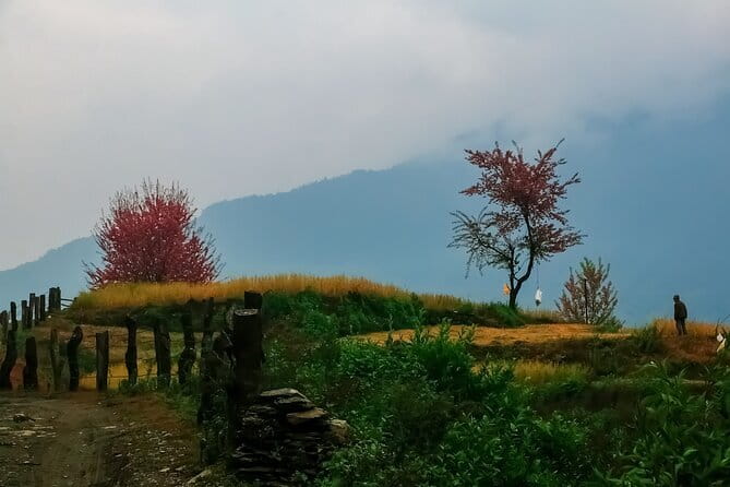 Pokhara 3 Days Ghorepani and Poon Hill Private Trek via Ghandruk - Guides who actually make the trek easier (and calmer)