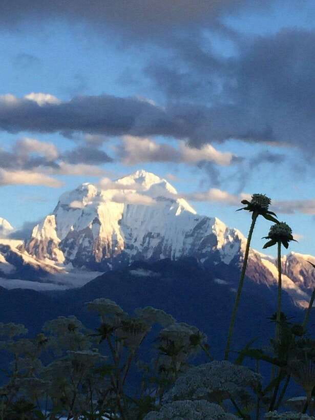 Pokhara: 3 days Trek to Poon hill - Should you book this 3-day Poon Hill trek from Pokhara?