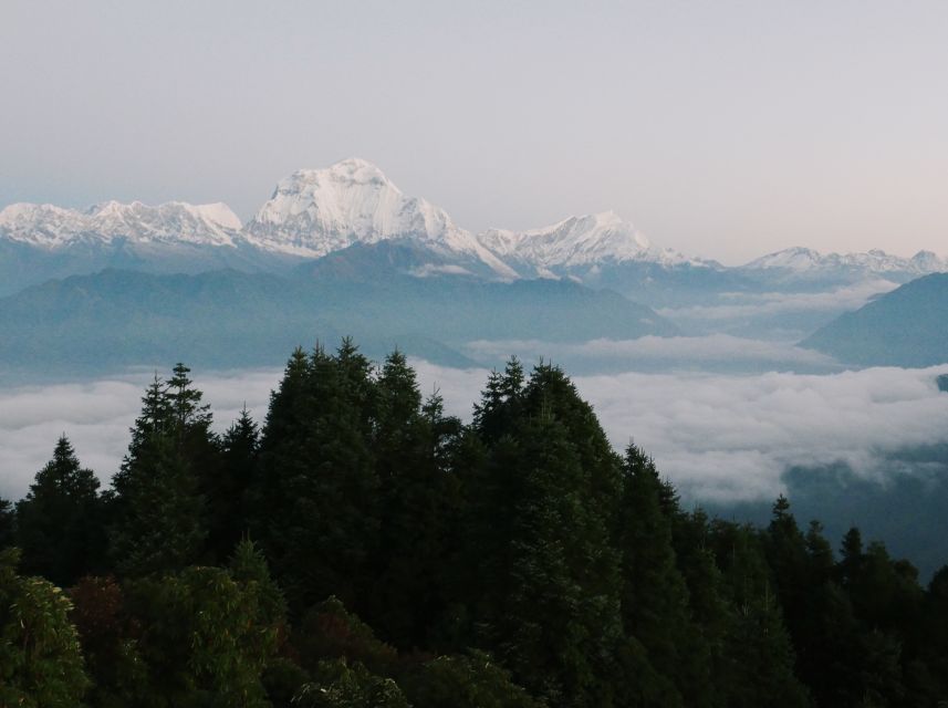 Pokhara:4-Day Ghorepani Poon Hill Guided Trek via Ghandruk - Day 4: Sunrise Viewpoint, Ghandruk Village Time, and the Return to Pokhara