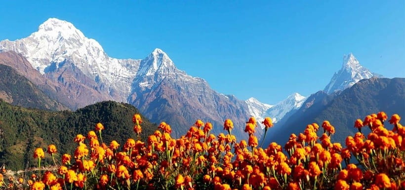 Pokhara: 4-Day Ghorepani, Poonhill & Ghandruk Mountain Trek - Key Things That Make This Trek Worth Your Time