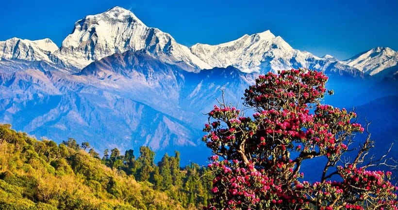 Pokhara: 4-Day Ghorepani, Poonhill & Ghandruk Mountain Trek - Poon Hill Sunrise and the Annapurna–Dhaulagiri Views You Wake Up For