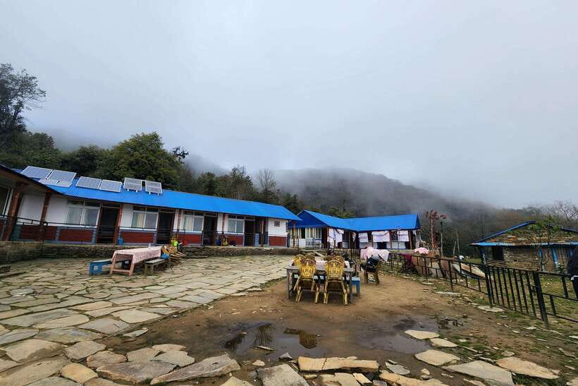 Pokhara: 4-Day Mardi Himal Trek - Food, Tea Houses, and the Standard vs Full Package Reality