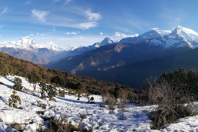 Pokhara: 4 Day Poon Hill Trek - Poon Hill in 4 days: why this short trek earns its hype