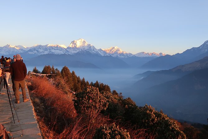 Pokhara: 4 Day Poon Hill Trek - The 4:30 AM push to Poon Hill sunrise: the moment you plan for