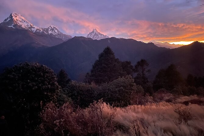Pokhara: 4 Days Poon Hill and Ghandruk Trek - Why this short Poon Hill and Ghandruk trek works so well