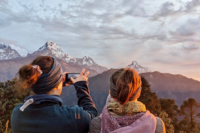 Pokhara: 4 Days Poon Hill and Ghandruk Trek - Day 2: Ulleri to Ghorepani through rhododendron forests
