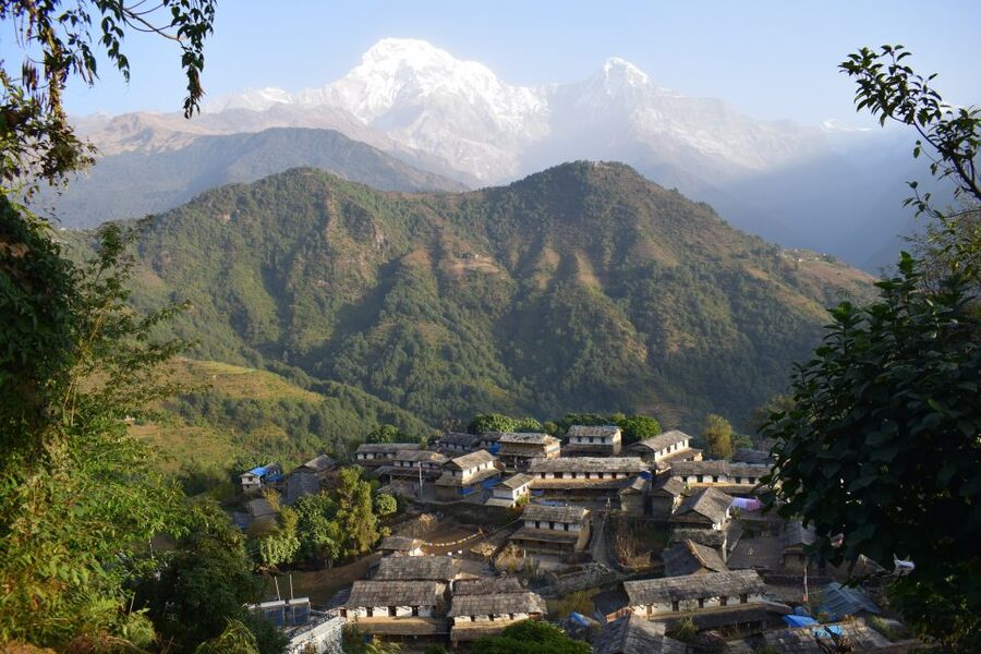 Pokhara: 5-Day Ghorepani and Poon Hill Private Trek - Day 4: Tadapani to Ghandruk (2,610 m down to 1,940 m)