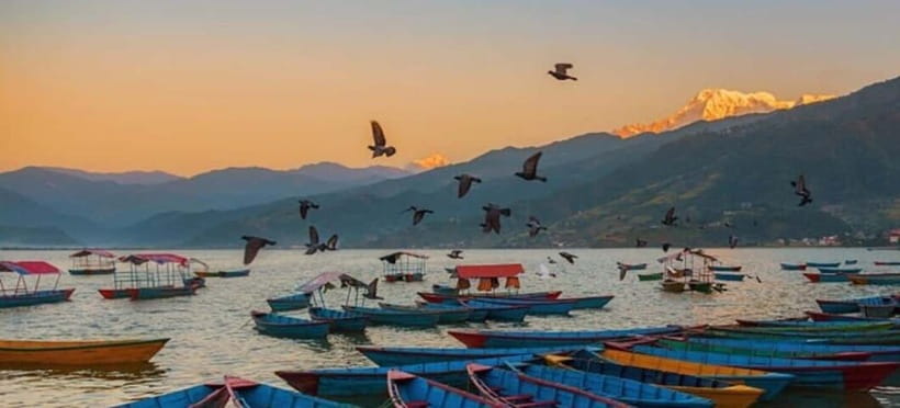 Pokhara: 5 Himalayan Viewpoints Guided Tour - Guides Matter: From Moti’s Calm Answers to Govinda’s Pace Adjustments