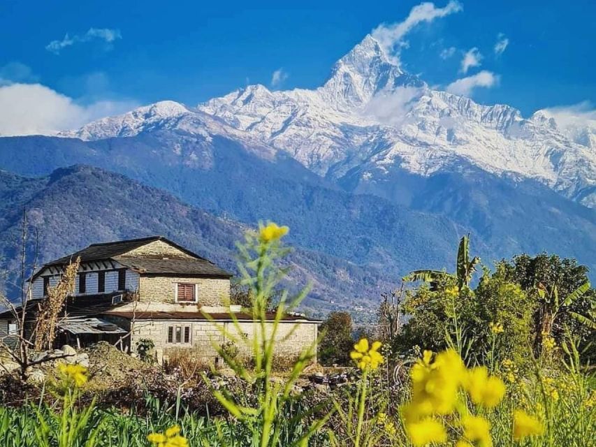 Pokhara: 9-Day Annapurna Base Camp Trek with Poon Hill - Guides, Pace, and the Human Side of the Trek