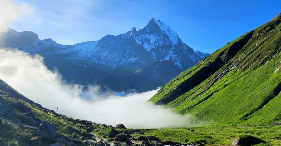 Pokhara: 9-Day Annapurna Base Camp Trek with Poon Hill - Day 3: Poon Hill at 3,210m and the Forest Trek to Tadapani or Chuile