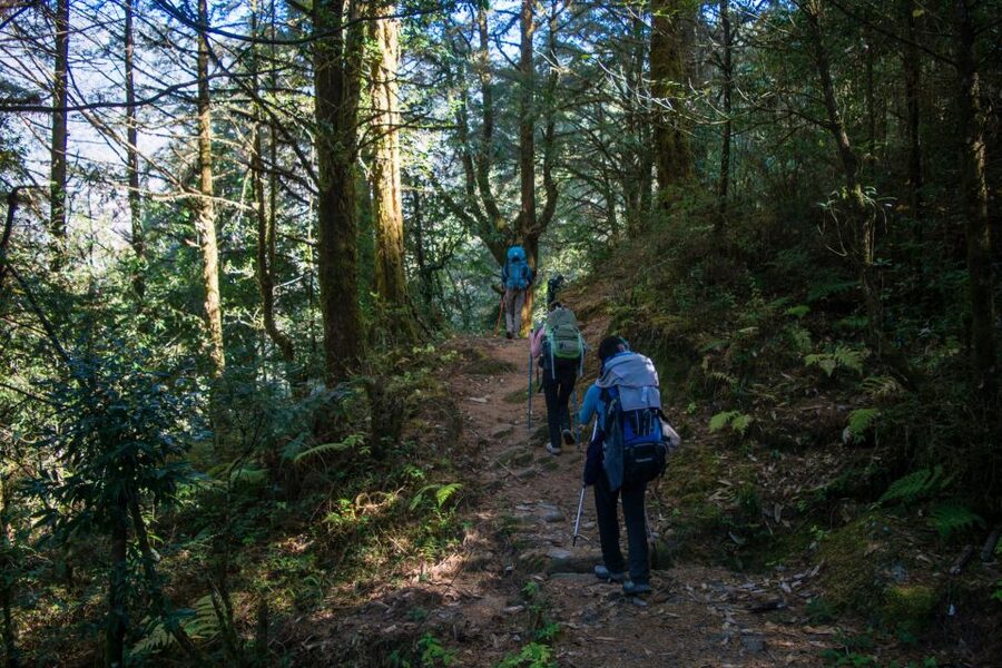 Pokhara: 9-Day Annapurna Base Camp Trek with Poon Hill - Day 4–5: Sinuwa and Deurali, With Annapurna and Machhapuchhre in View