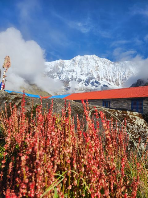 Pokhara: 9-Day Annapurna Base Camp Trek with Poon Hill - Day 6: Deurali to Annapurna Base Camp (4,130m) — The Big Moment