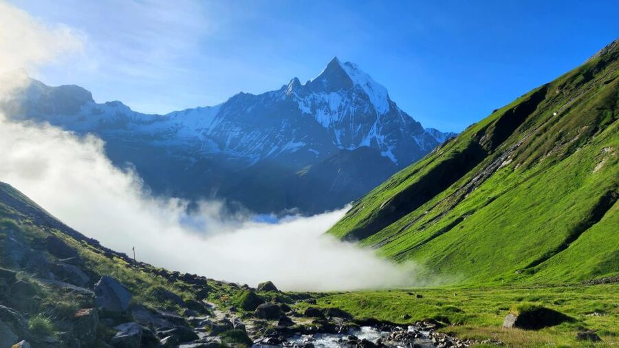 Pokhara: 9-Day Annapurna Base Camp Trek with Poon Hill - Day 1–2: Pokhara to Tikhedhunga and the Ulleri Step Climb