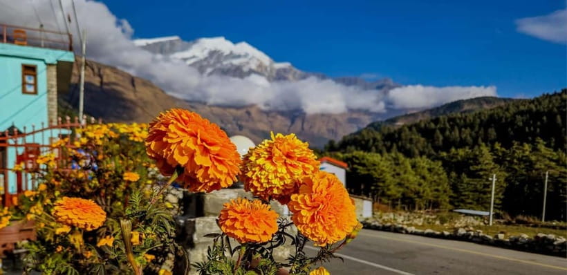 Pokhara: Amazing Day Hiking, Boating /Sunrise view tour - Pumdikot Shiva Statue/Temple: Wider Annapurna Views