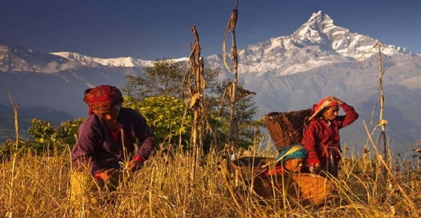 Pokhara: Annapurna Day Hike with Panoramic Views - Small practical tips that make a difference